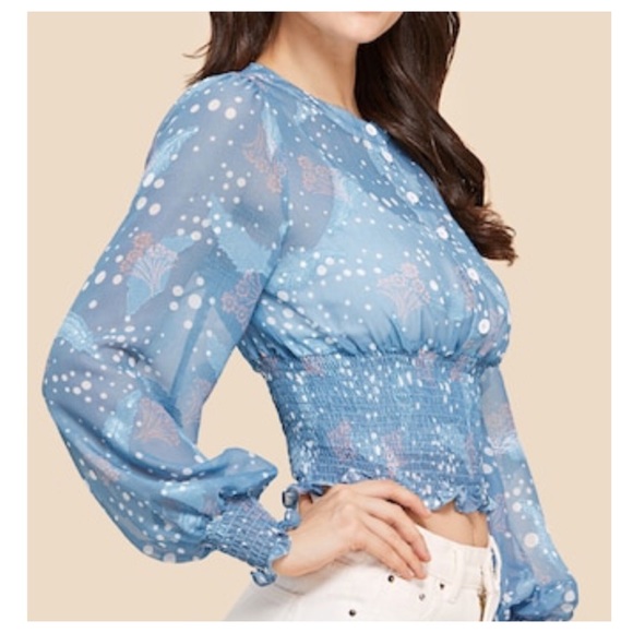 Vintage Style Smocked Hem Sheer Top - Picture 4 of 5